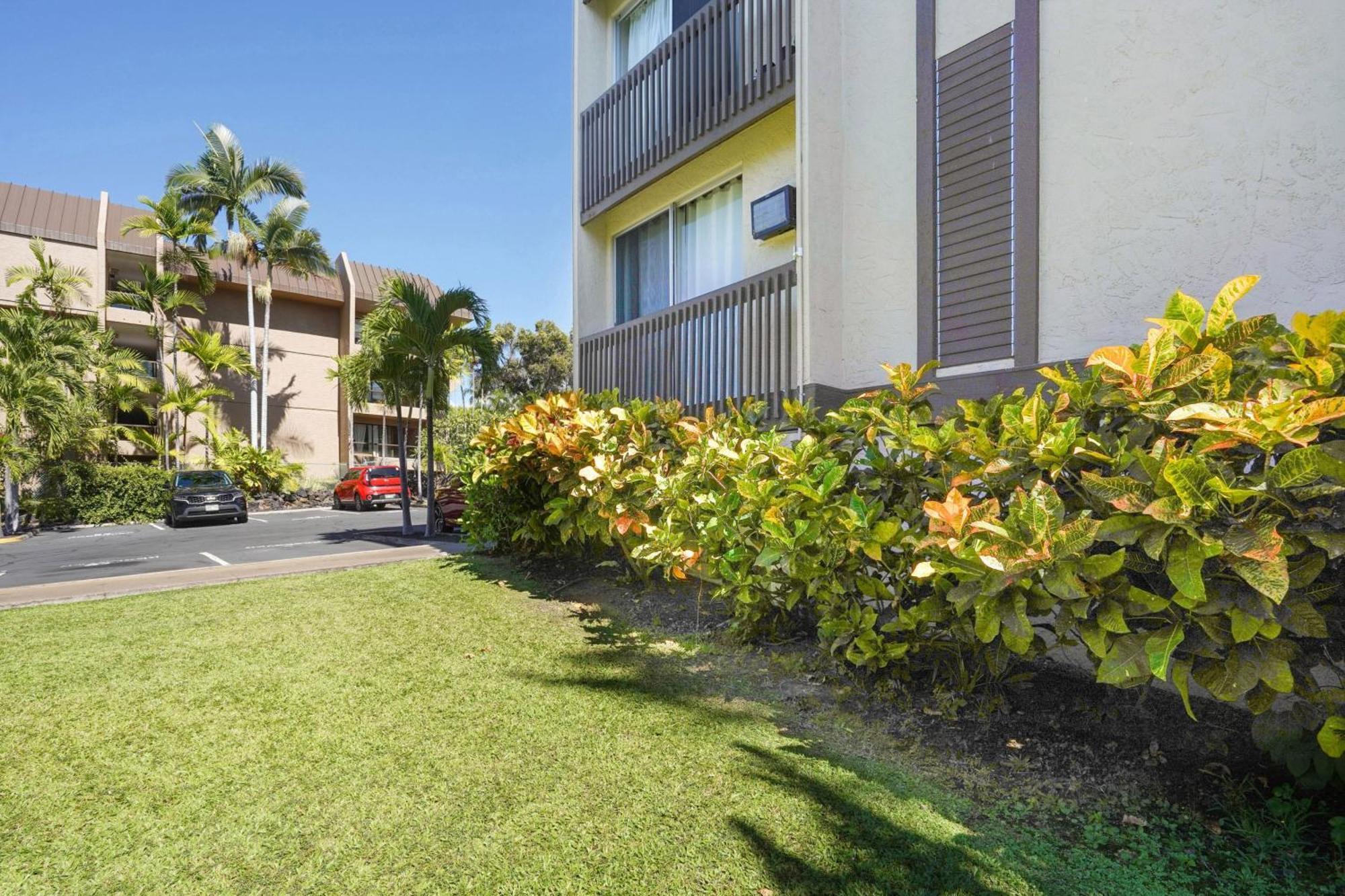 Airy Kailua-Kona Condo Less Than 1 Mi To Beach And Town Zewnętrze zdjęcie